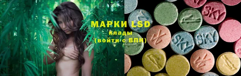 LSD-25 экстази кислота  как найти закладки  кракен маркетплейс  Апатиты 